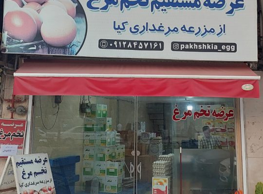 تخم مرغ مازندران تخم مرغ در مازندران
