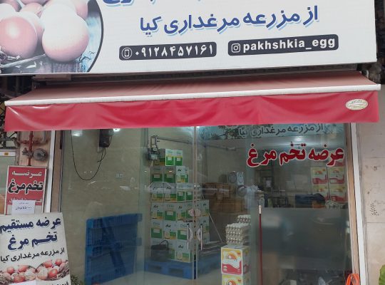 تخم مرغ مازندران تخم مرغ در مازندران