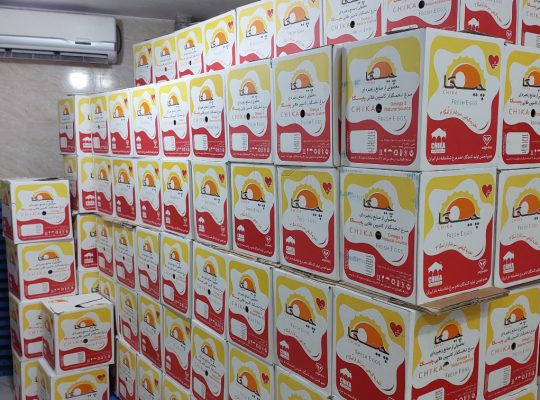 تخم مرغ مازندران تخم مرغ در مازندران