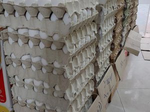 تخم مرغ مازندران تخم مرغ در مازندران