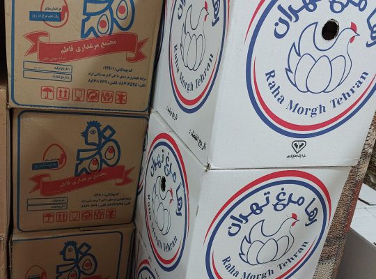تخم مرغ مازندران تخم مرغ در مازندران