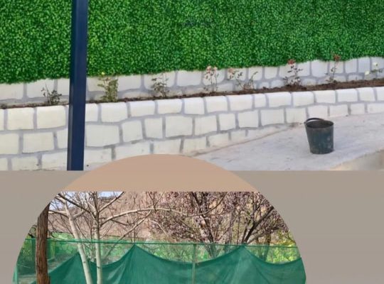 چمن مصنوعی بابل گرین وال بابل