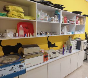 خدمات کلینیک دامپزشکی