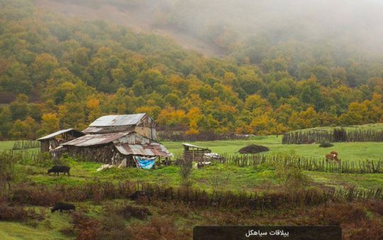 پکیج سیاهکل پکیج دیلمان
