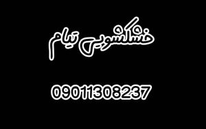 خشکشویی و مبل شویی تیام در لاهیجان