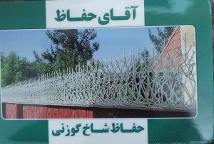 حفاظ شاخ گوزنی زنجان