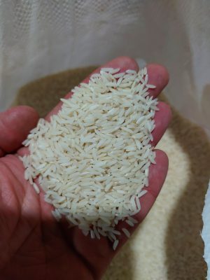 کارخانه برنجکوبی لاهیجان شالی کوبی زهرا سادات