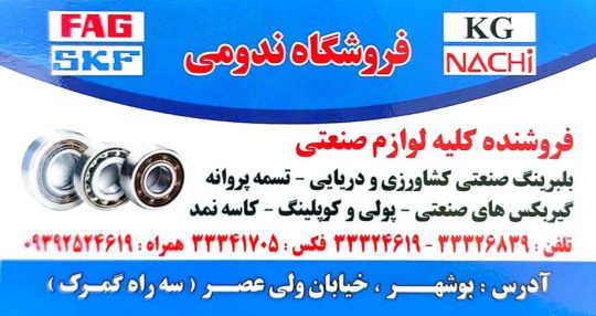 بلبرینگ در بوشهر فروشگاه ندومی