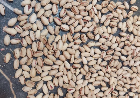 خرید فروش عمده پسته در رفسنجان پسته رفسنجان