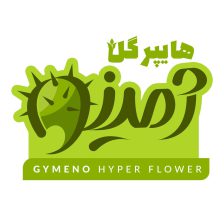 گلخانه در لنگرود گل آپارتمانی در لنگرود هایپر گل ژمینو