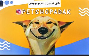 پت شاپ در لاهیجان لوازم حیوانات خانگی در لاهیجان پت شاپ آداک