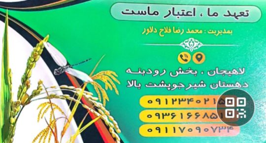شالیکوبی در شیرجوپشت برنج در شیرجوپشت کارخانجات برنجکوبی فلاح دلاور