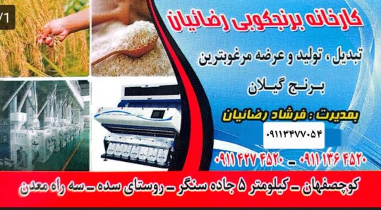 شالیکوبی در کوچصفهان کارخانه برنجکوبی کوچصفهان برنج کوچصفهان کارخانه برنجکوبی مدرن رضائیان