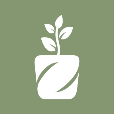 گل گیاه آپارتمانی در لاهیجان اجرای فضای سبز در لاهیجان گل فروشی در لاهیجان فروشگاه ژمینو لاهیجان