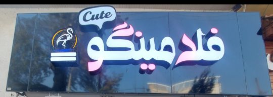 لوازم کادویی در رودسر عروسک فروشی در رودسر کادویی رودسر فروشگاه فلامینگو