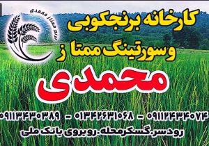 برنج در رودسر شالیکوبی در رودسر کارخانه برنج رودسر سورتینگ برنج رودسر کارخانه برنجکوبی و سورتینگ ممتاز محمدی