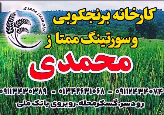 برنج در رودسر شالیکوبی در رودسر کارخانه برنج رودسر سورتینگ برنج رودسر کارخانه برنجکوبی و سورتینگ ممتاز محمدی