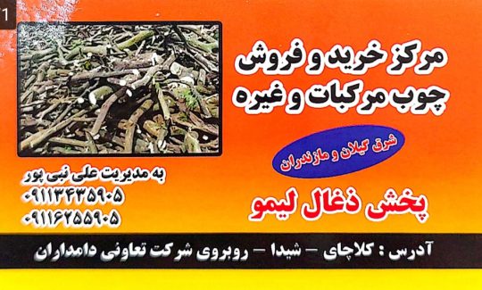 پخش چوب مرکبات استان فارس پخش چوب مرکبات جهرم مرکز خرید و فروش چوب مرکبات نبی پور