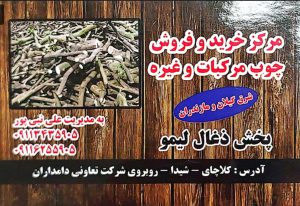 پخش چوب مرکبات استان فارس پخش چوب مرکبات جهرم مرکز خرید و فروش چوب مرکبات نبی پور