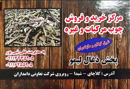 پخش چوب مرکبات استان فارس پخش چوب مرکبات جهرم مرکز خرید و فروش چوب مرکبات نبی پور