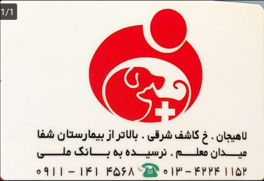 کلینیک دامپزشکی در لاهیجان دکتر فرامرز جنابی قدس جراح دامپزشک