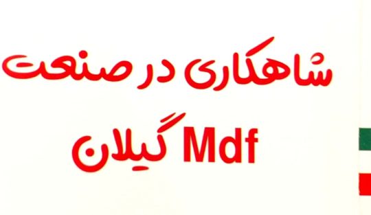 کابینت در آستانه اشرفیه کمد دیواری در آستانه اشرفیه دکوراسیون آستانه اشرفیه کابینت و دکوراسیون داخلی شاهکار
