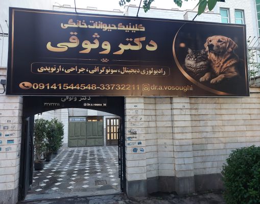 کلینیک دامپزشکی در اردبیل دامپزشک در اردبیل رادیولوژی حیوانات در اردبیل پت شاپ در اردبیل کلینیک حیوانات خانگی دکتر علیرضا وثوقی