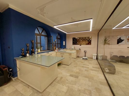 کلینیک دامپزشکی در اردبیل دامپزشک در اردبیل رادیولوژی حیوانات در اردبیل پت شاپ در اردبیل کلینیک حیوانات خانگی دکتر علیرضا وثوقی