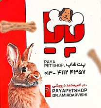 پت شاپ در آستانه اشرفیه کلینیک دامپزشکی در آستانه اشرفیه پت شاپ پایا