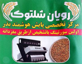 سورتینگ جو در لنگرود سورتینگ جو در چاف و چمخاله رویان شلتوک