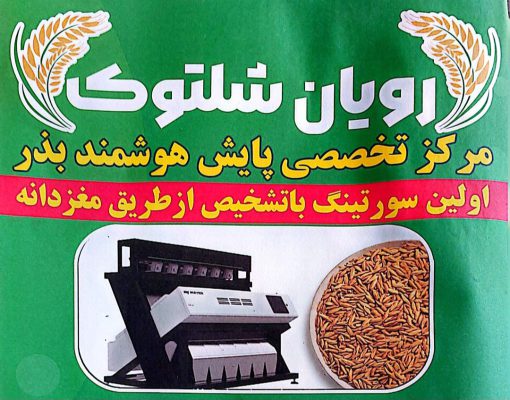 سورتینگ جو در لنگرود سورتینگ جو در چاف و چمخاله رویان شلتوک
