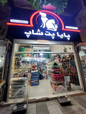 پت شاپ در آستانه اشرفیه کلینیک دامپزشکی در آستانه اشرفیه پت شاپ پایا