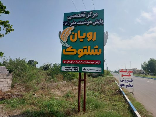 سورتینگ جو در لنگرود سورتینگ جو در چاف و چمخاله رویان شلتوک