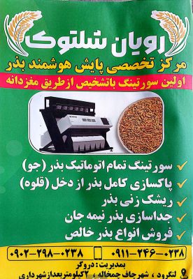 سورتینگ جو در لنگرود سورتینگ جو در چاف و چمخاله رویان شلتوک